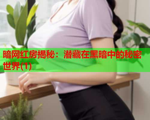 暗网红房揭秘：潜藏在黑暗中的秘密世界(1)