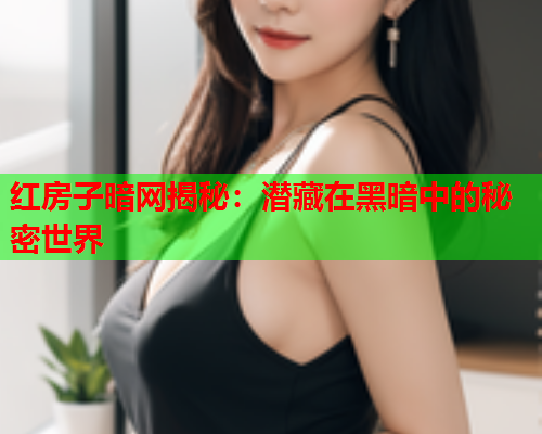 红房子暗网揭秘：潜藏在黑暗中的秘密世界