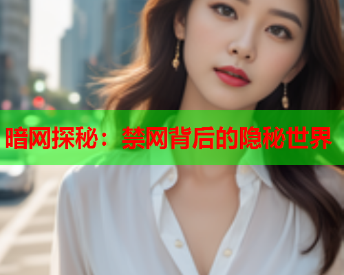 暗网探秘：禁网背后的隐秘世界