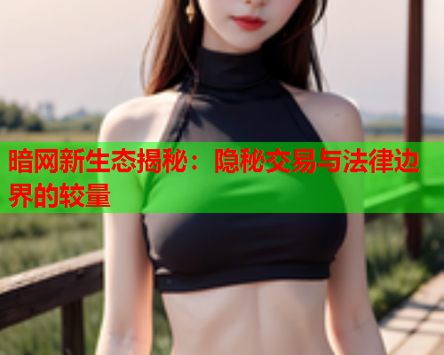 暗网新生态揭秘：隐秘交易与法律边界的较量