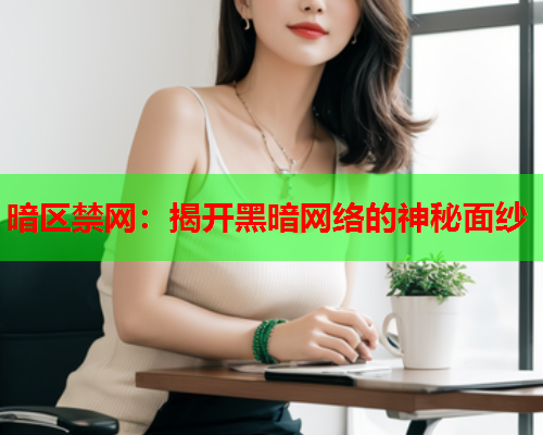 暗区禁网：揭开黑暗网络的神秘面纱