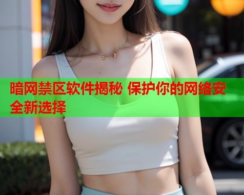 暗网禁区软件揭秘 保护你的网络安全新选择