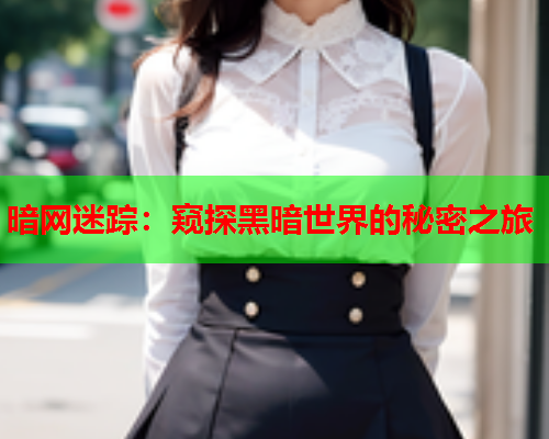 暗网迷踪：窥探黑暗世界的秘密之旅