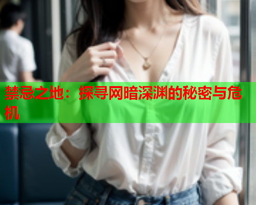 禁忌之地：探寻网暗深渊的秘密与危机