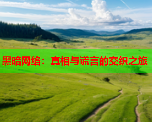 黑暗网络：真相与谎言的交织之旅