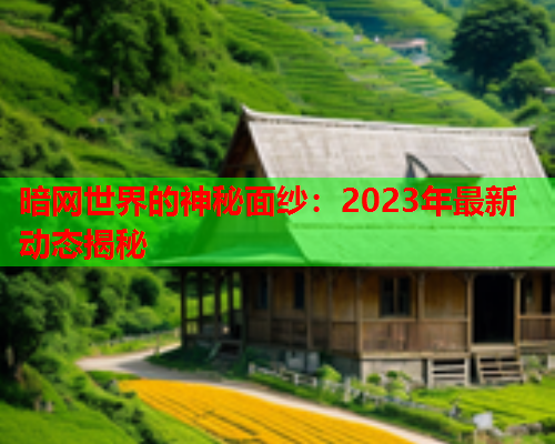 暗网世界的神秘面纱：2023年最新动态揭秘