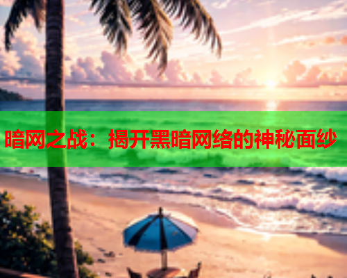 暗网之战：揭开黑暗网络的神秘面纱