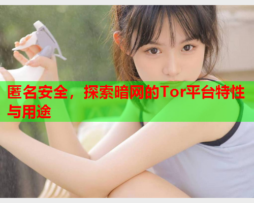 匿名安全，探索暗网的Tor平台特性与用途