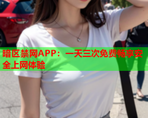 暗区禁网APP：一天三次免费畅享安全上网体验