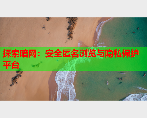 探索暗网：安全匿名浏览与隐私保护平台