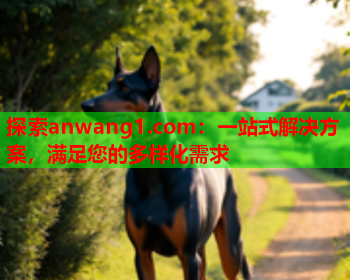 探索anwang1.com：一站式解决方案，满足您的多样化需求