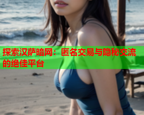 探索汉萨暗网：匿名交易与隐秘交流的绝佳平台