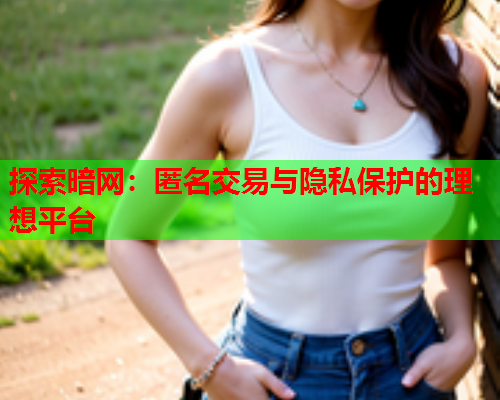 探索暗网：匿名交易与隐私保护的理想平台